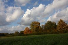 Herbststimmung-25-10-09 002.jpg